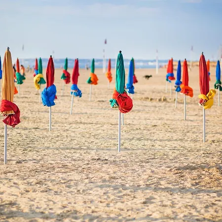 Temps Des Cerises - Terrasse - - Marina Deauville