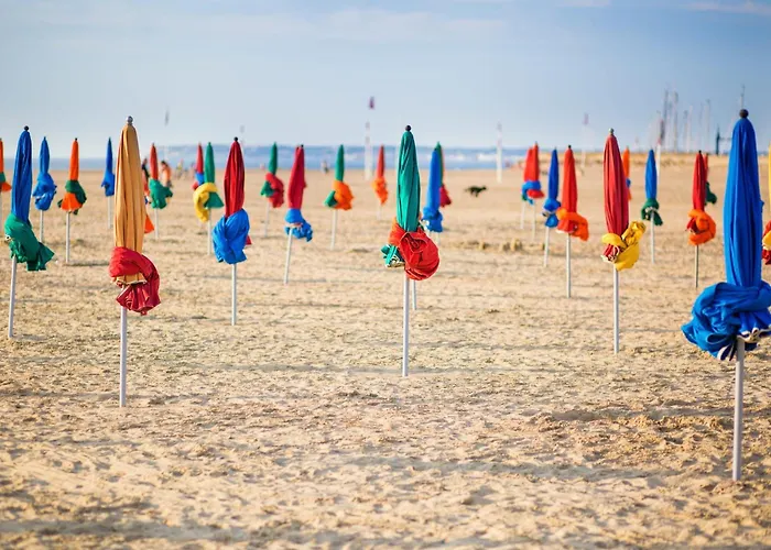 Temps Des Cerises - Terrasse - - Marina Deauville